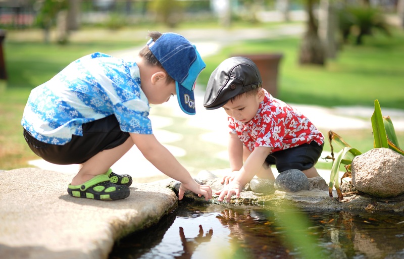 people-lawn-play-boy-kid-cute-557800-pxhere.com