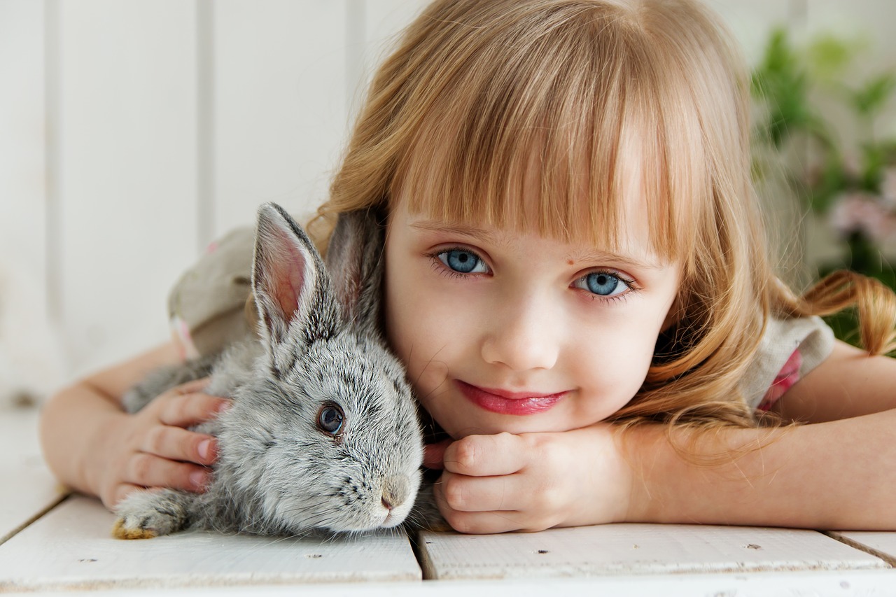 rabbit-3660673_1280